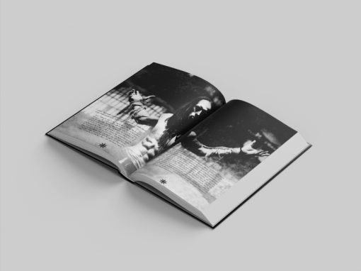 Behemoth - Image 3